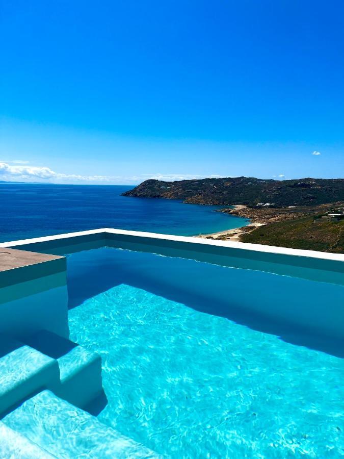 Luxury House With Private Pool At Elia Beach Mykonos Town Dış mekan fotoğraf